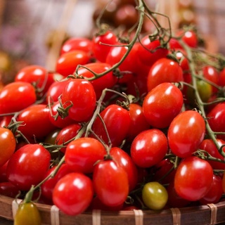 HẠT GIỐNG CÀ CHUA CHERRY, CÀ CHUA PI (0.5g)