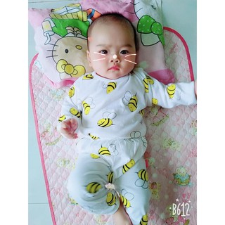 Combo 5 bộ cotton giá #100k