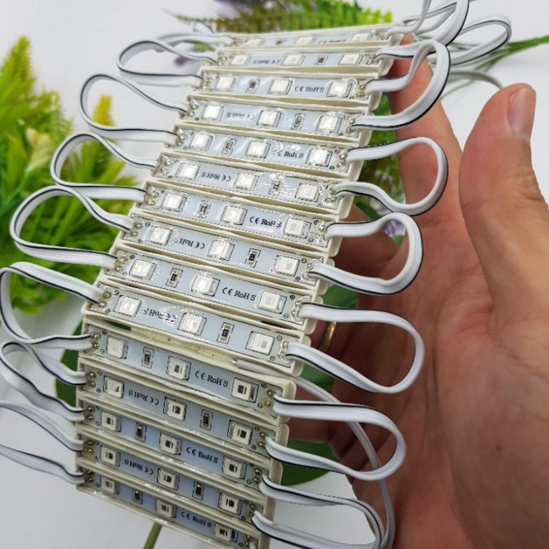 Led 12V 3 Bóng Siêu Sáng 🍀Đèn 12V trang trí Bể Cá deco tiểu cảnh