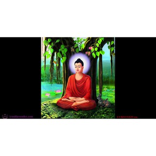 Tranh thêu chữ thập Thích ca mâu ni phật 51x55