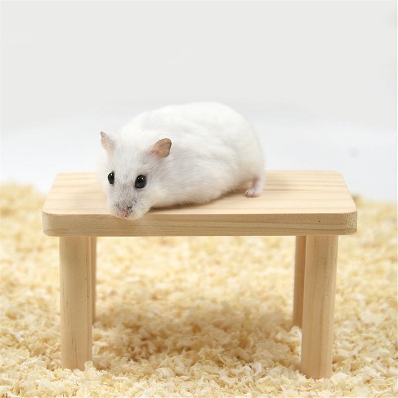 Bệ Đứng Bằng Gỗ Tự Nhiên Kèm Trục Cho Lồng Nuôi Chuột Hamster