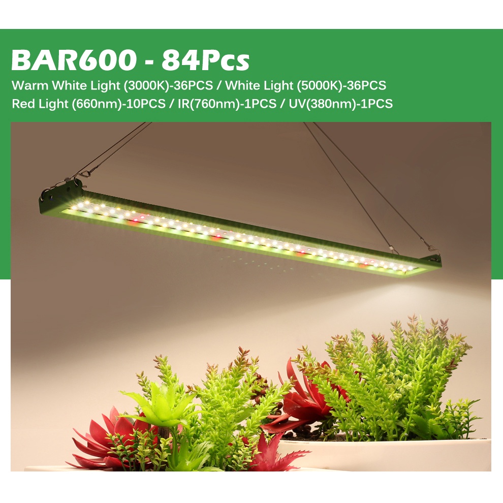 Đèn LED Kích Thích Tăng Trưởng Cho Cây Trồng Trong Nhà Samsung LM281B