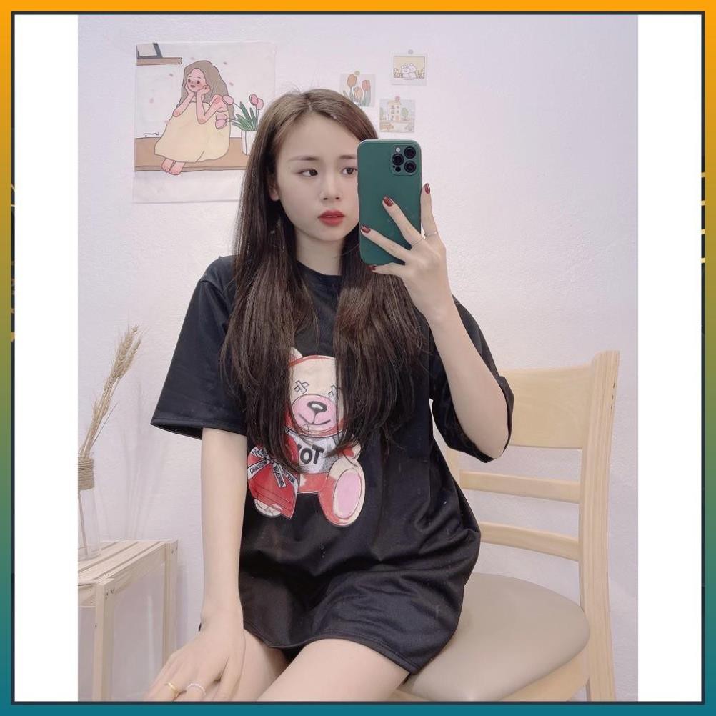 [FREE SHIP] Áo Phông Nữ,Áo Thun Nữ Tay Ngắn Hình Gấu Cute, Hình Gấu Đôi Chất Liệu Cotton Siêu Mát | BigBuy360 - bigbuy360.vn