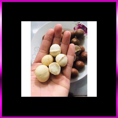 Hạt macca daklak 500gr