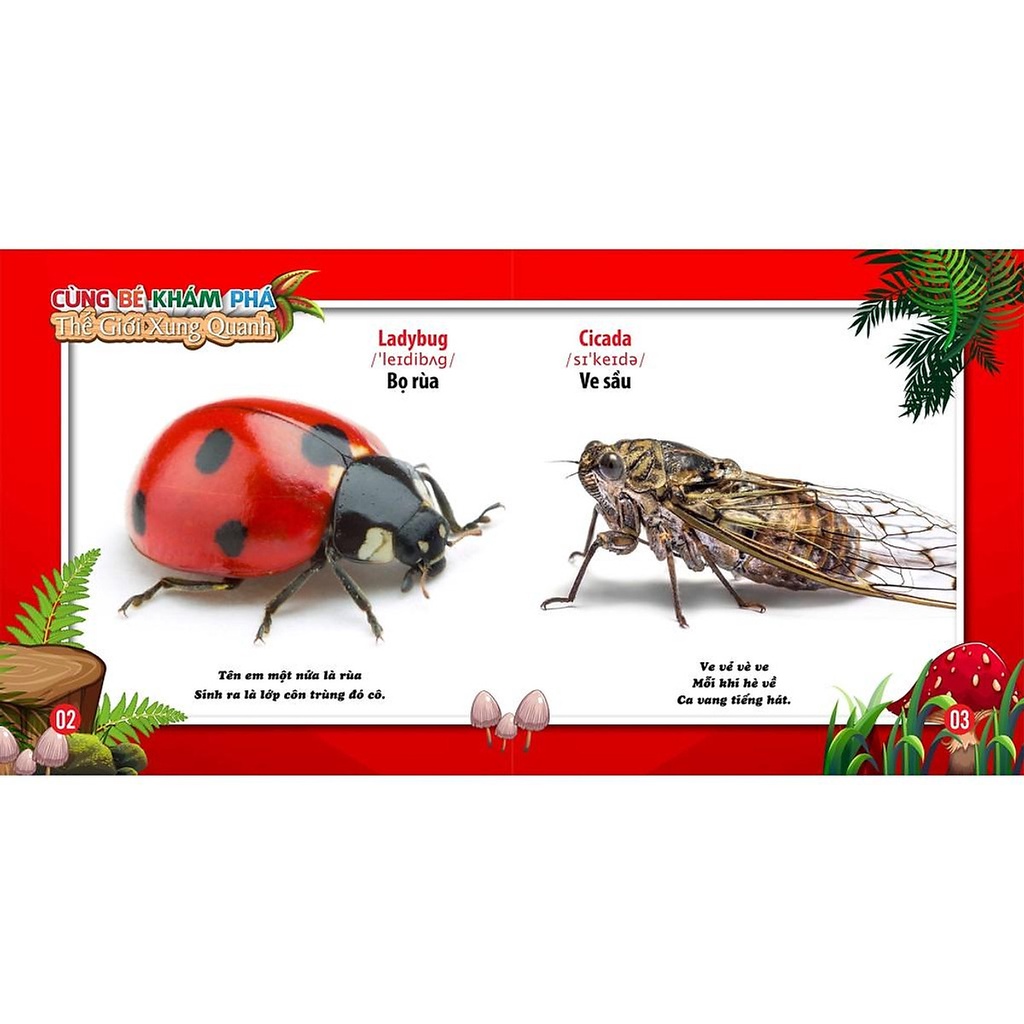 Sách - Cùng Bé Khám Phá Thế Giới Xung Quanh - Côn Trùng - Sách Song Ngữ
