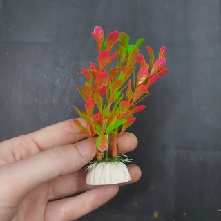 Cây cỏ nhựa