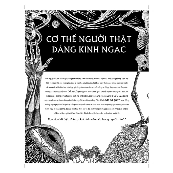 Sách - Soi sáng cơ thể người - Illumanatomy