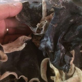 Sỉ toàn quốc mộc nhĩ rừng 100g - 200g - 300g