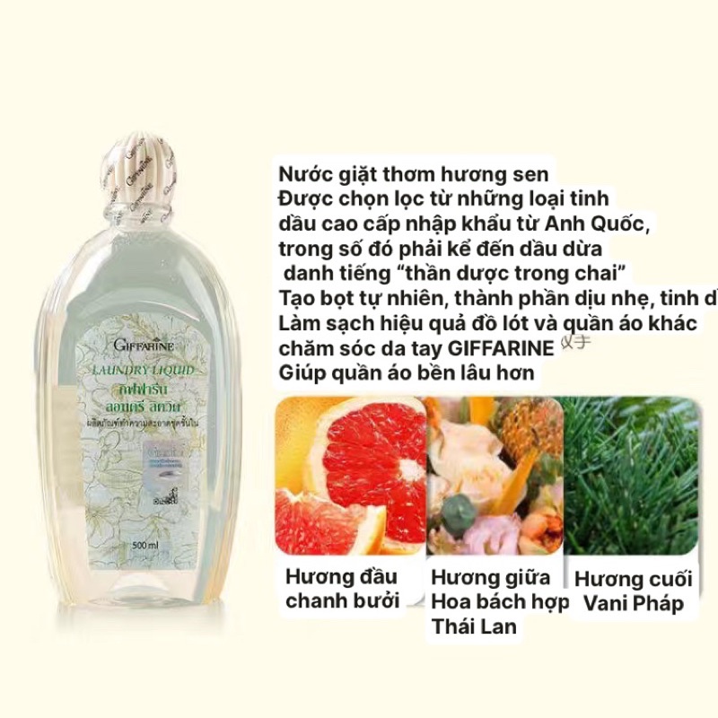 DIỆT KHUẨN -Dung dịch giặt nội y, hương hoa tự nhiên Thái-tem chính hãng 500ml