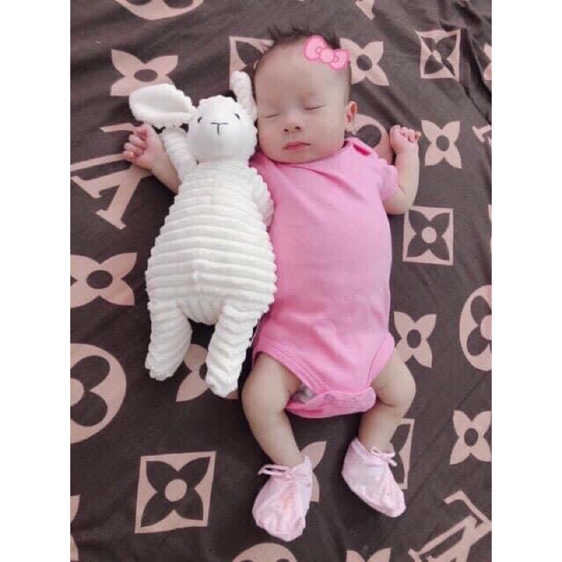 Cừu trắng cho bé