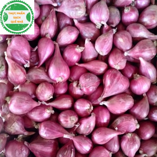 Hành tím Ninh Thuận 500gr