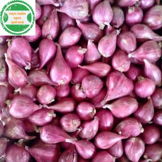 Hành tím Ninh Thuận 500gr