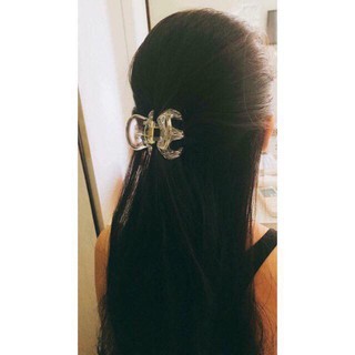 KẸP CÀNG CUA THÁI LAN - BAO GIÁ - CÓ SỈ