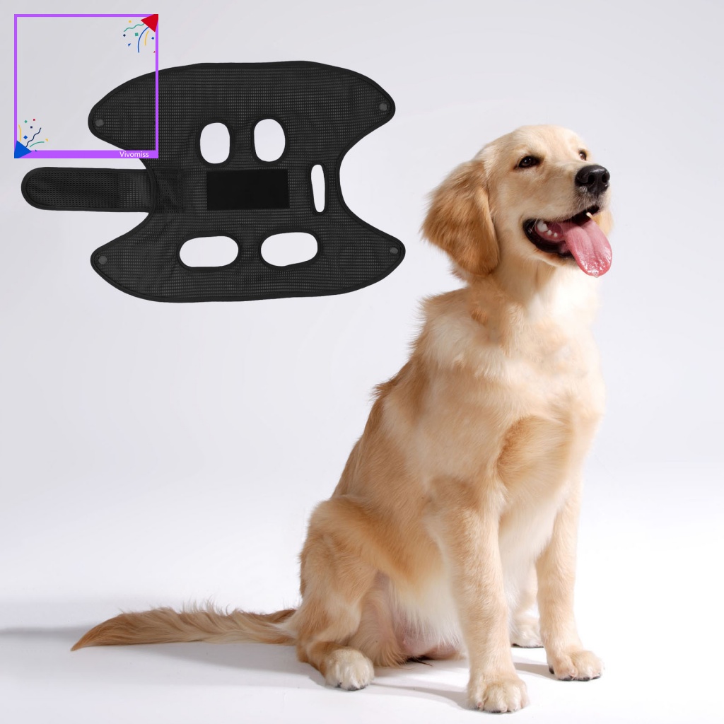 Võng Nằm Cho Thú Cưng Thiết Kế Một Mảnh Tiện Dụng