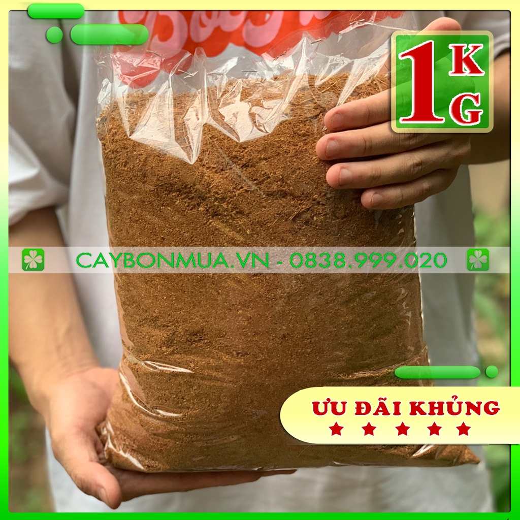 [MUA 10 TẶNG 1] Mụn Dừa - Xơ Dừa chuyên dùng để ươm hạt, trồng cây giúp cây sinh trưởng thuận lợi 1kg(08-1,2kg)