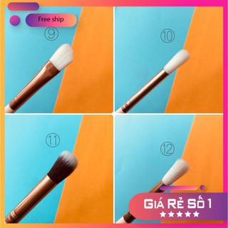 [TKN123] [ Gia tot]  Gia si -Các Loại Cọ Mắt