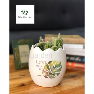 Chậu cây gốm sứ in – trứng nhỏ mini