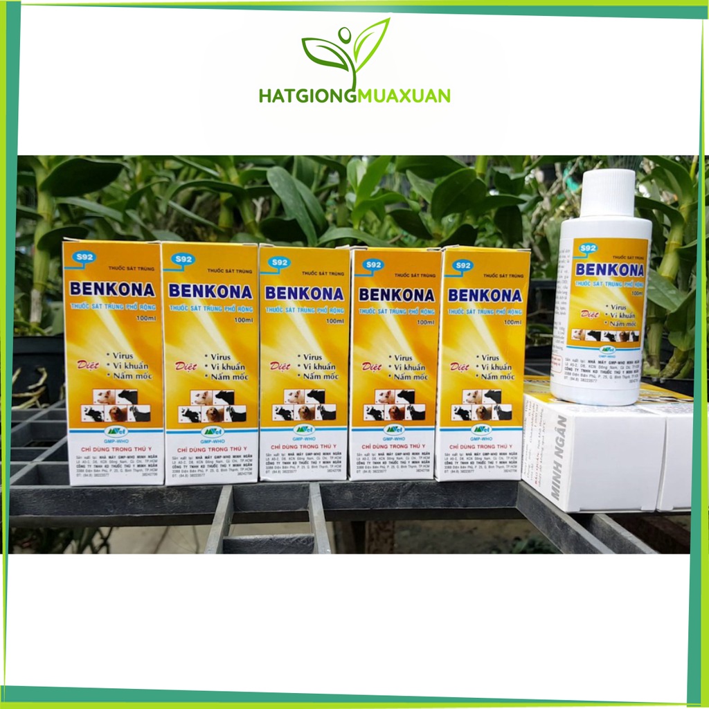 [SIEURE] sát khuẩn, khử trùng Benkona (chai 100ml) hàng đẹp, phân phối chuyên nghiệp.