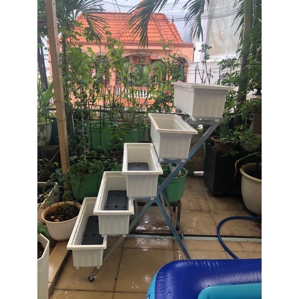 Kệ thông minh 5 tẩng trồng hoa cay cảnh và rau sạch , không gồm Chậu
