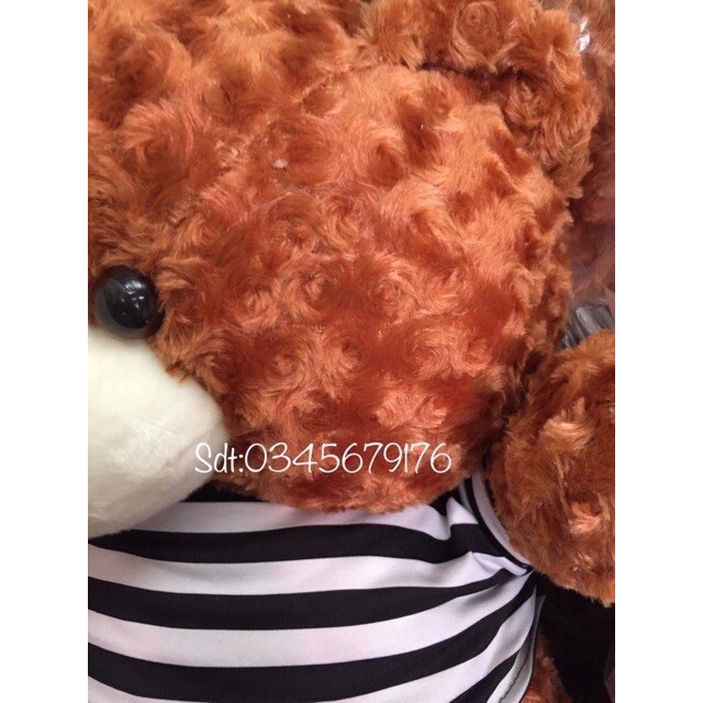 ( Freeship Ac ) Gấu teddy khổ 1m2 cao 1m hàng VNXK