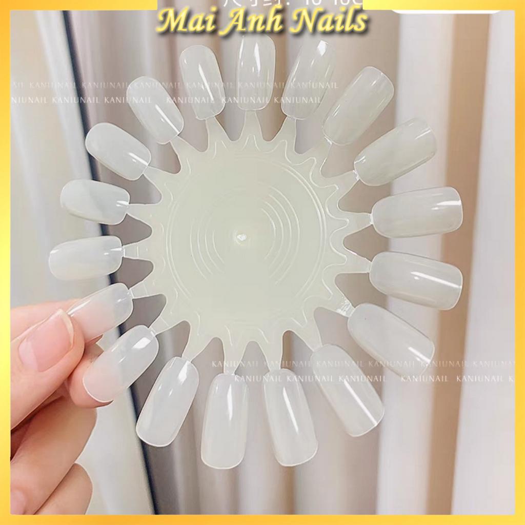 Móng mẫu nail Tròn màu đục &amp; trong MaiAnhNails