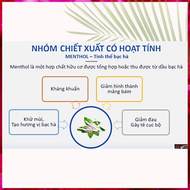[KHÔNG CHỨA ĐỘC HẠI] Kem Đánh Răng Người Lớn Cao Cấp Strongz Teeth Tworld An Toàn Giúp Trắng Răng, Hôi Miệng, Viêm Lợi
