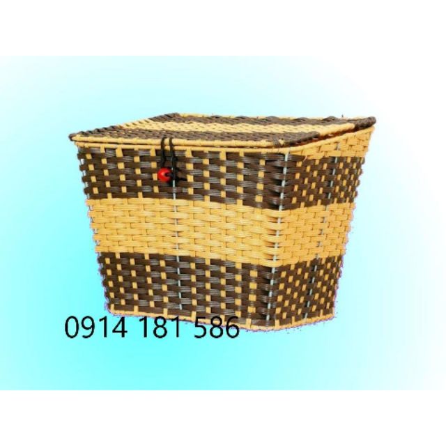 Giỏ mây xe đạp điện, xe máy điện