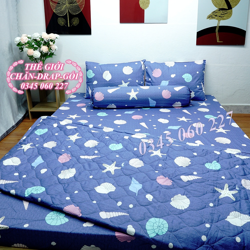 (RẺ VÔ ĐỊCH) Drap cotton Thắng Lợi, ga trãi giường (4 món) có in logo chính hãng SÒ BIỂN