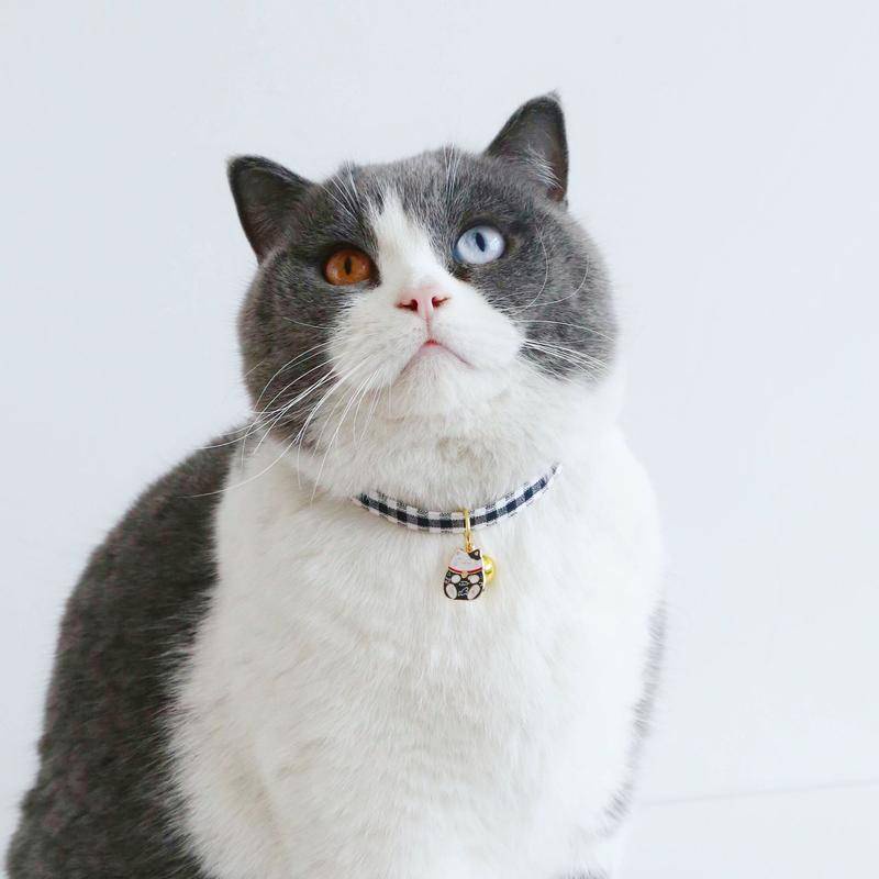 Vòng Cổ Da PU Có Chuông Chống Nghẽn Cho Thú Cưng