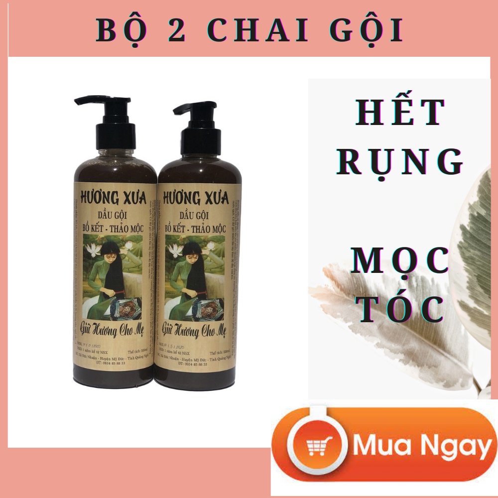 (COMBO sale 2 chai) Dầu gội bồ kết thảo mộc Hương Xưa sạch gàu, nấm ngứa, rụng tóc