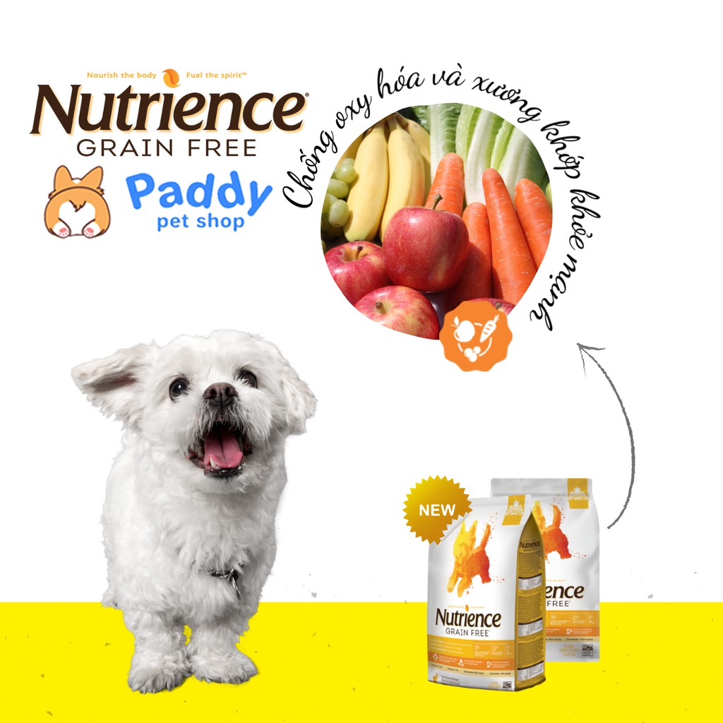 Hạt Nutrience Grain Free Cho Chó Mọi Lứa Tuổi - Gà Tây & Rau Củ Quả