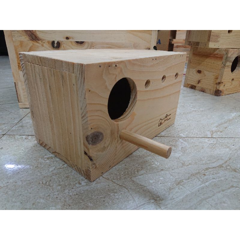 Tổ đẻ cho yến phụng treo phải thông liền tấm