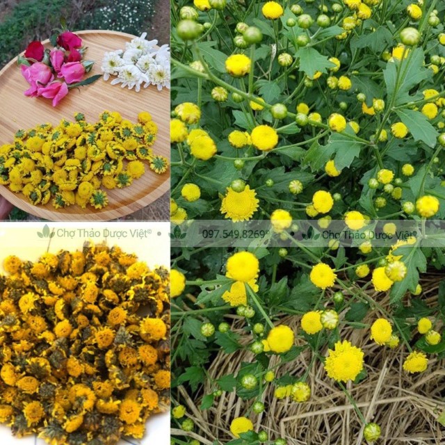 1kg Nụ Hoa Cúc Sấy Lạnh (Hoa Cúc Chi, Cúc Nụ)