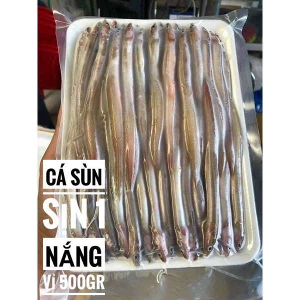 CÁ SỤN SỊN -500g