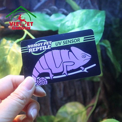 Thẻ đo tia uvb | Kiểm tra tia uvb trong môi trường nuôi thú cưng | Vietpetgarden