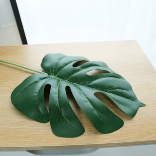 LÁ MONSTERA TRANG TRÍ PHONG CÁCH BẮC ÂU