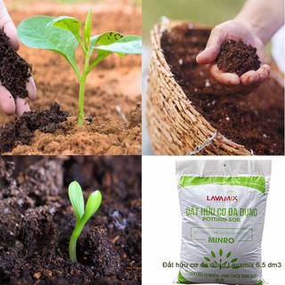 ĐẤT HỮU CƠ ĐA DỤNG LAVAMIX 6.5DM