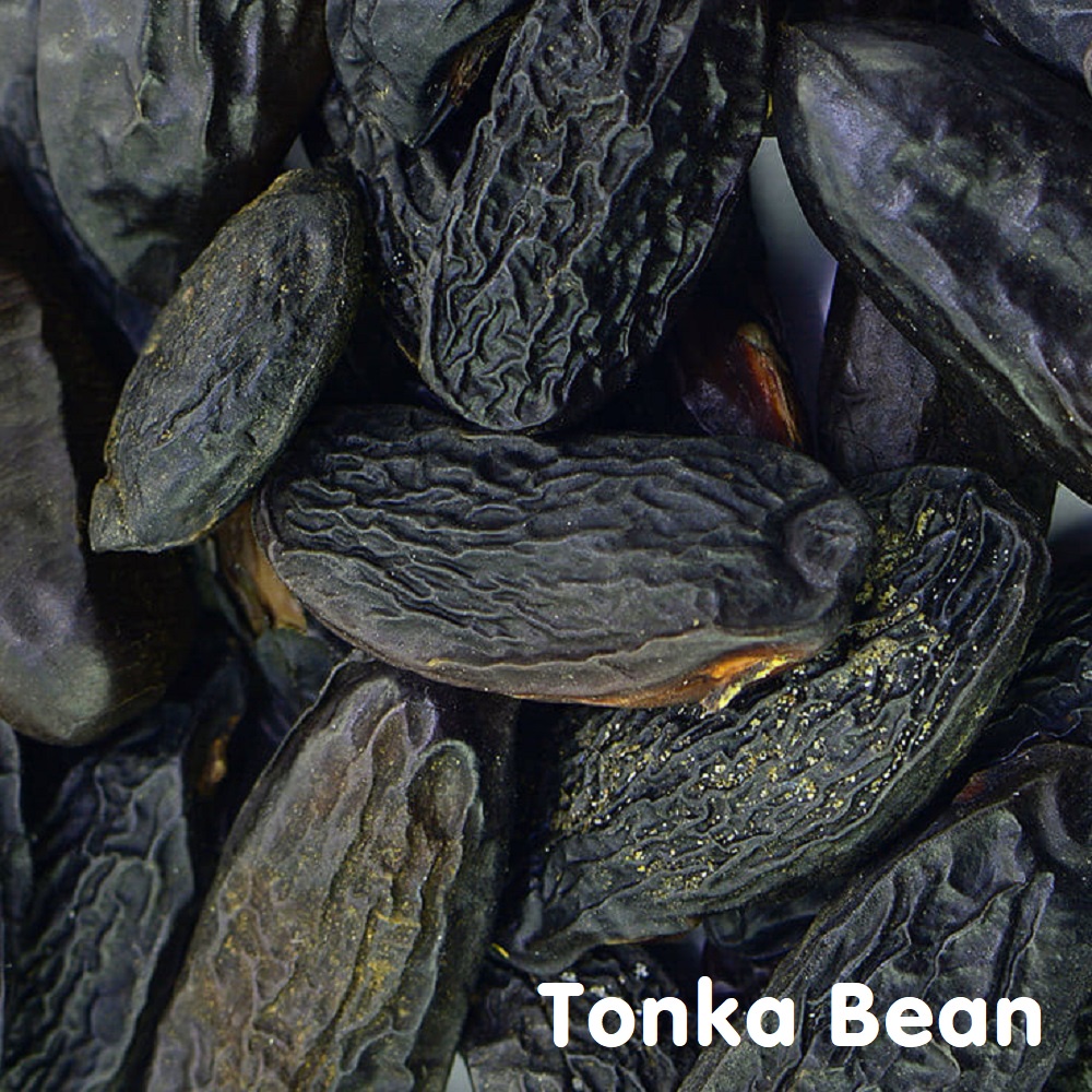 (Absolute) Tinh dầu đậu Tonka Bean Essential Oil (Kumaru)