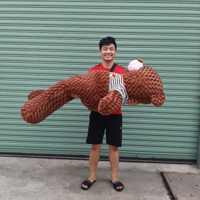 GẤU TEDDY NHỒI BÔNG SIÊU KHỦNG 155CM NẶNG 5500G