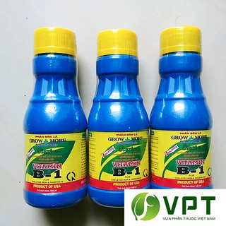 Vitamin B1 Xanh Growmore – Kích rễ, điều hòa sinh trưởng chai 100ml
