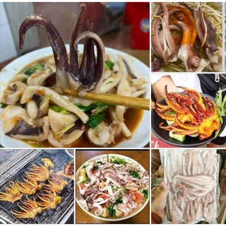 🦑 ĐẦU MỰC ỐNG. Hàng đủ kg (giao hỏa tốc)