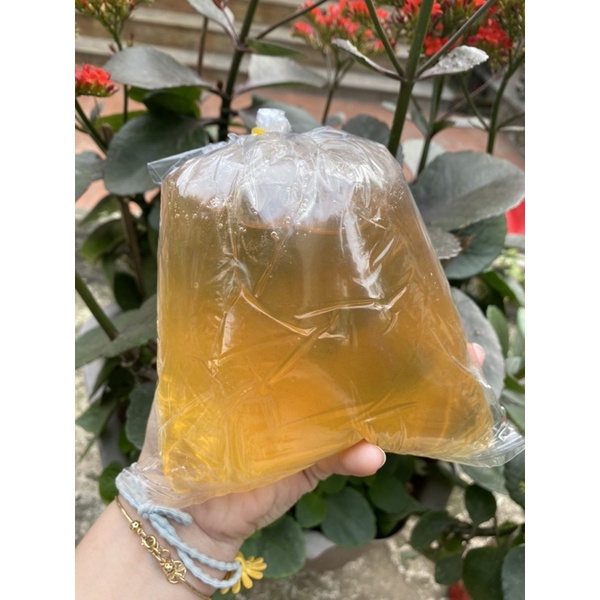 1kg mạch nha vàng nguyên chất nhà làm từ bông lúa mạch dùng làm kẹo lạc, kẹo kéo