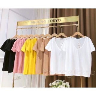 Combo áo phông giấy cho nữ - nguyethong