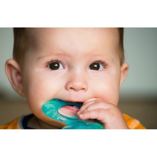 Đồ Gặm Nướu cho bé mọc răng Babylove