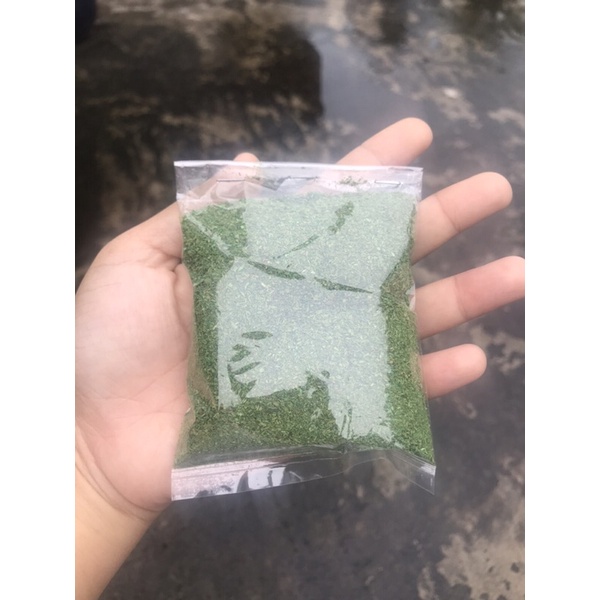 Rêu Bột Phủ Bề Mặt Xốp Khi Cắm Hoa