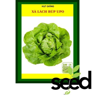 Hạt Giống Xà Lách Búp UFO 5 Gram