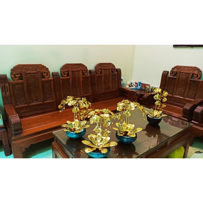 Chậu Lan Hồ Điệp mạ vàng 24k , quà tặng, trang trí sang trọng đẳng cấp.