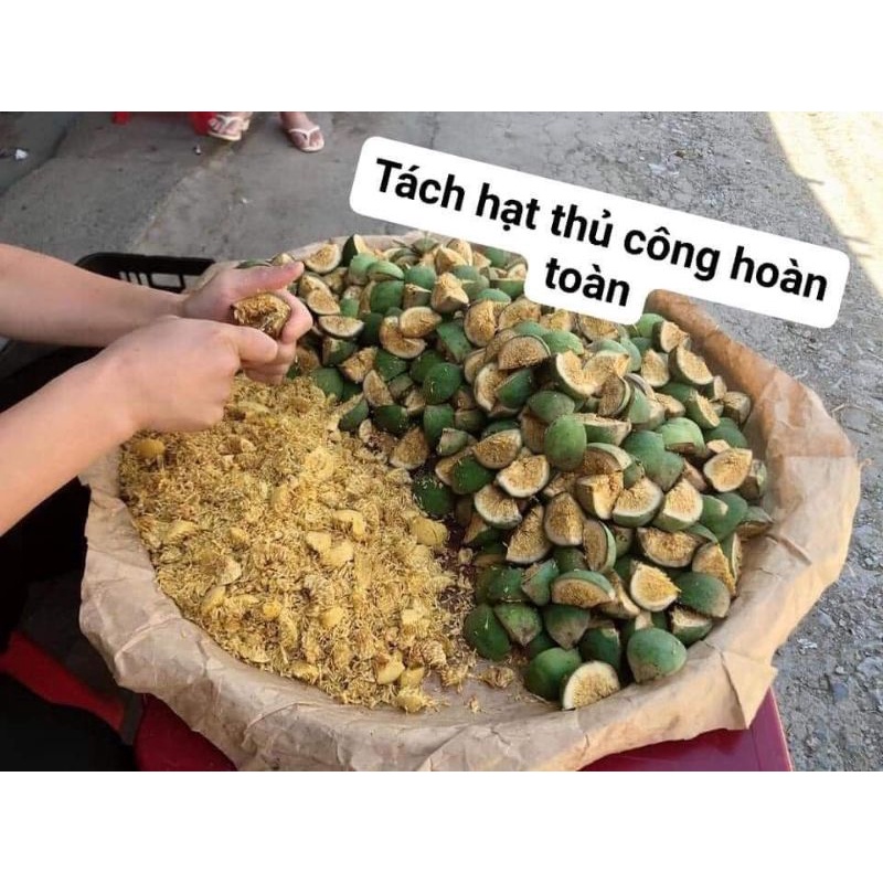 Hạt  thạch mác púp