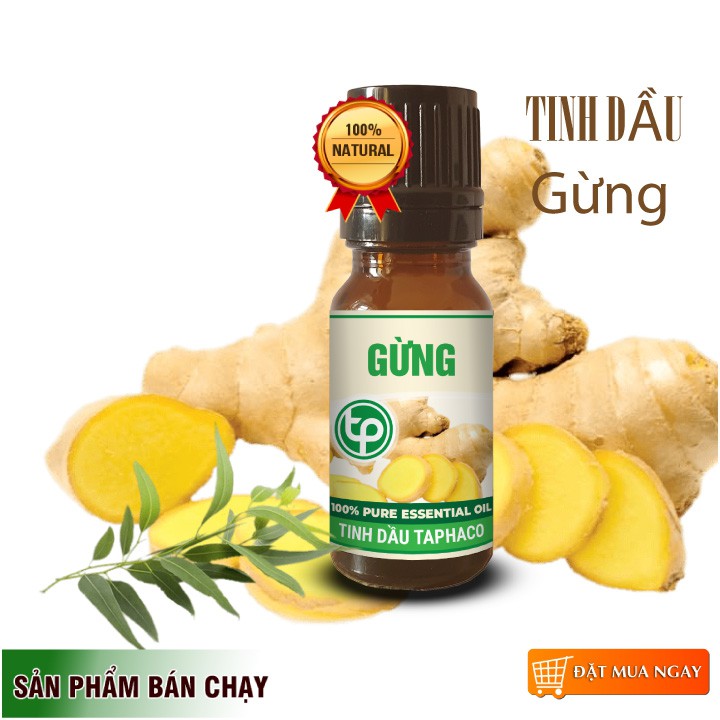 Tinh Dầu Gừng - TaPha 10ml Thơm Phòng