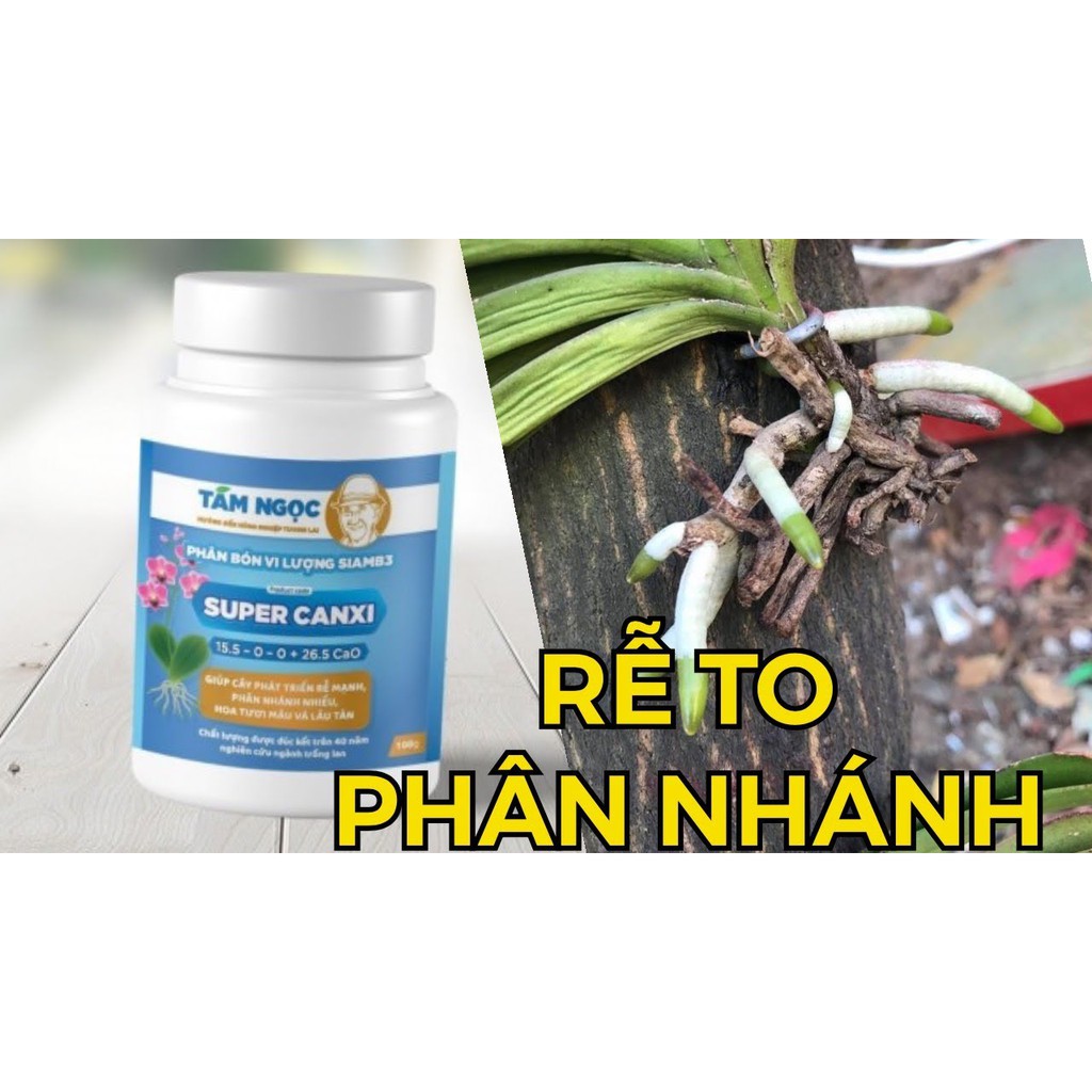 Super Canxi Nitrat Hũ 100g - Phát triển rễ, tiêu thụ đạm, Mập rễ, phân nhánh rễ, tăng khả năng tiêu thụ đạm